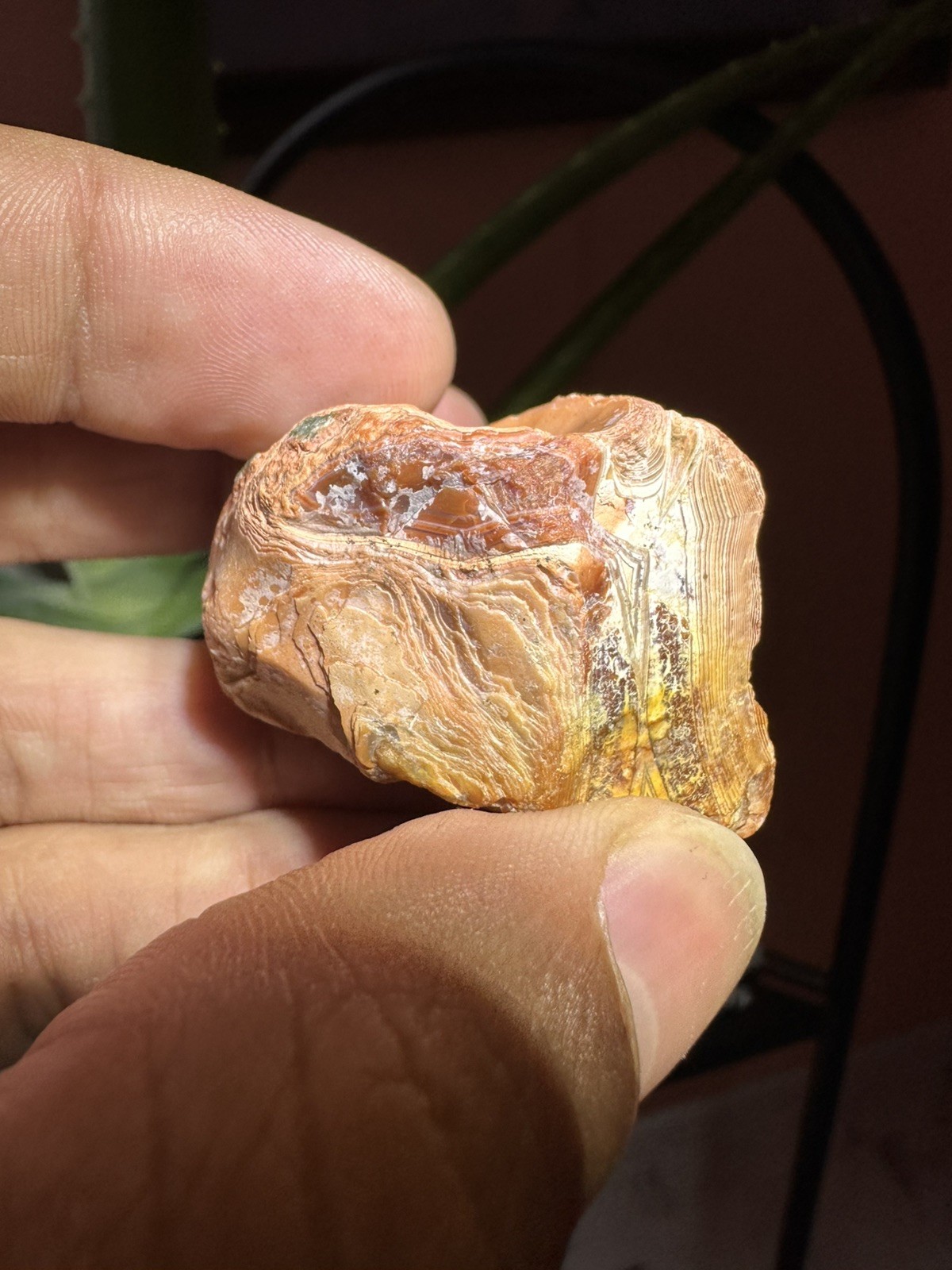 2.15 oz Lake Superior Very High-Quality Agate Fire Peeler Top Shelf Opaque Paint
