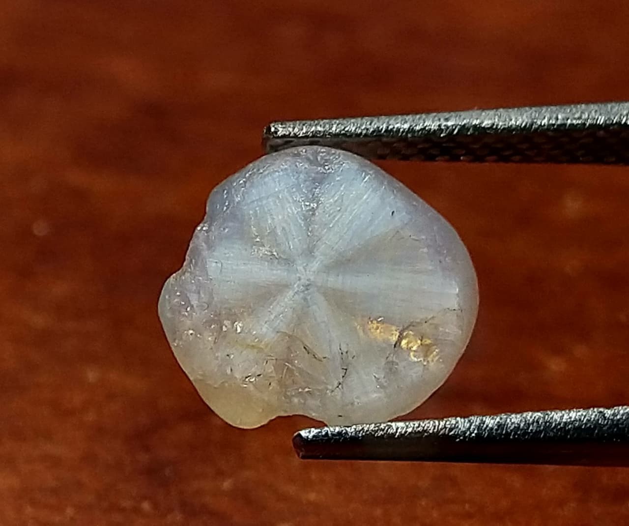 Trapiche Sapphire 3.10ct Natural Stone Sri-Lanka.