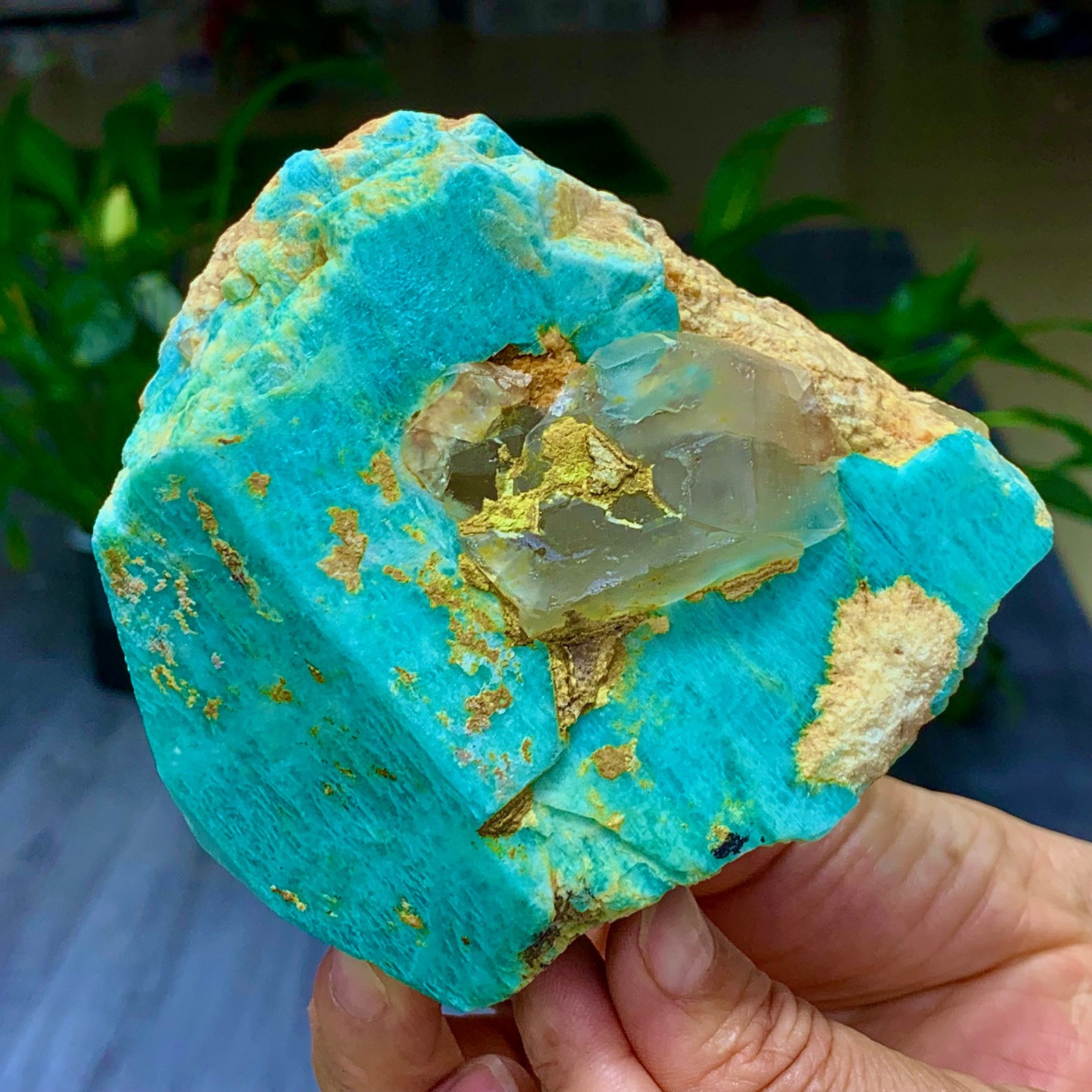 1.58LB Rare!! Natural beautiful Amazonite with Quartz Crystal Specimen Rough