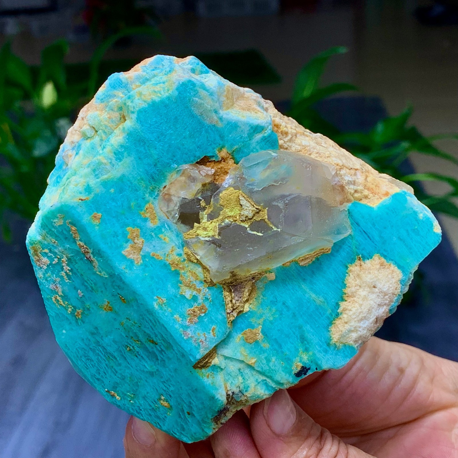 1.58LB Rare!! Natural beautiful Amazonite with Quartz Crystal Specimen Rough