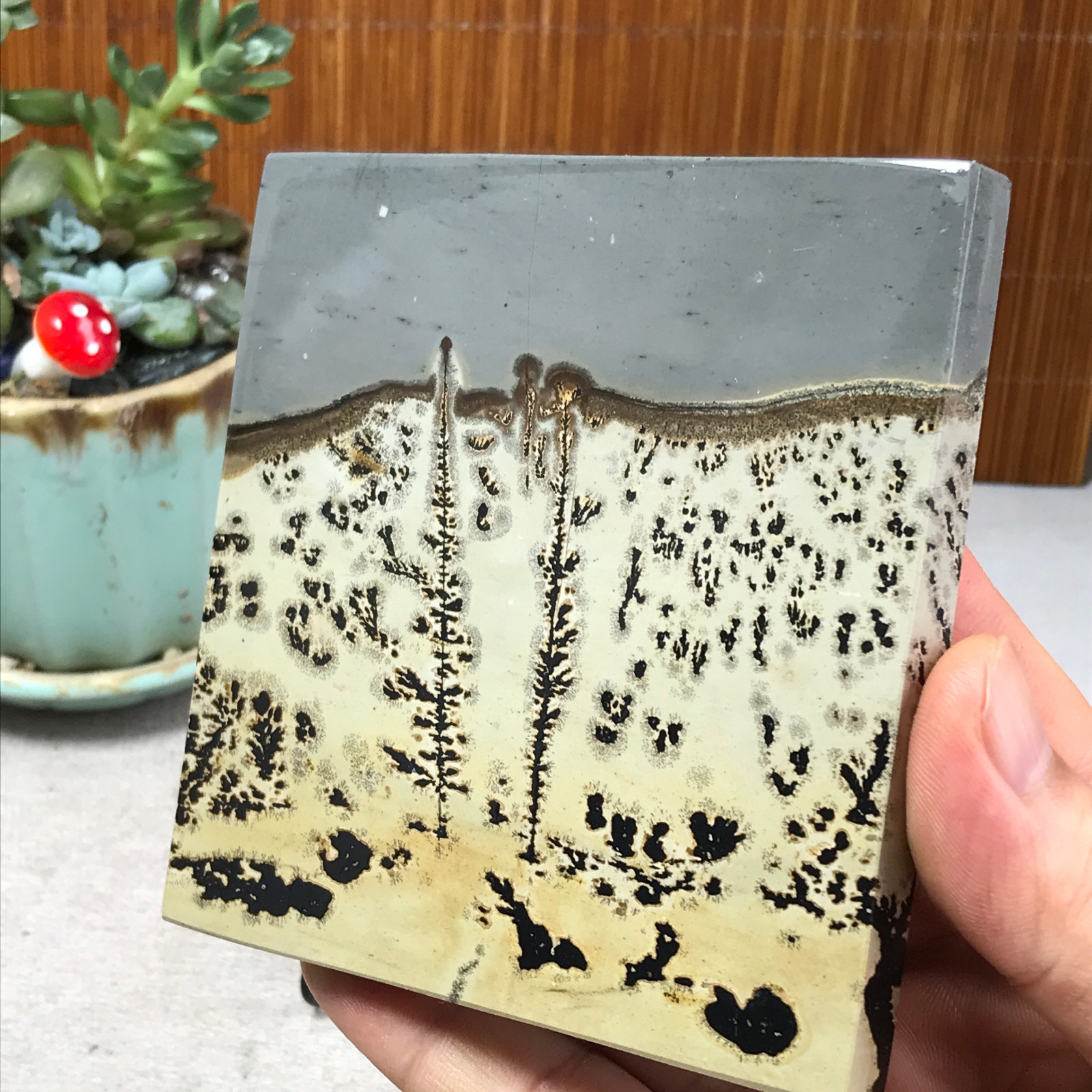 231g Natural Chinese painting stone crystal ornaments for home decoration A6865