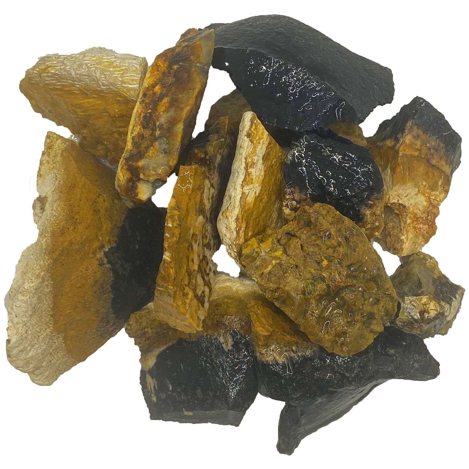 Palm Root – Rough Rocks for Tumbling – Wholesale Stone Crystal (Indonesia)