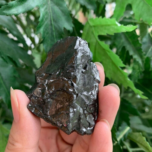 Elite Noble Shungite, Grade A++ Raw Shungite, Natural Shungite, EMF Protection