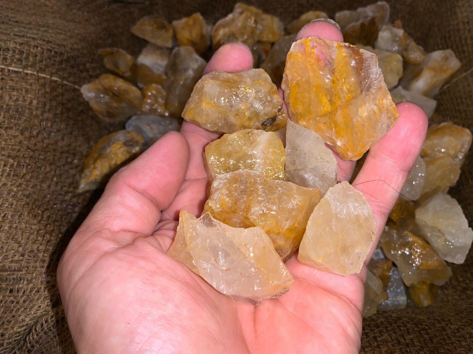500 Carat Lots of Citrine Rough Plus a FREE Faceted Gemstone!