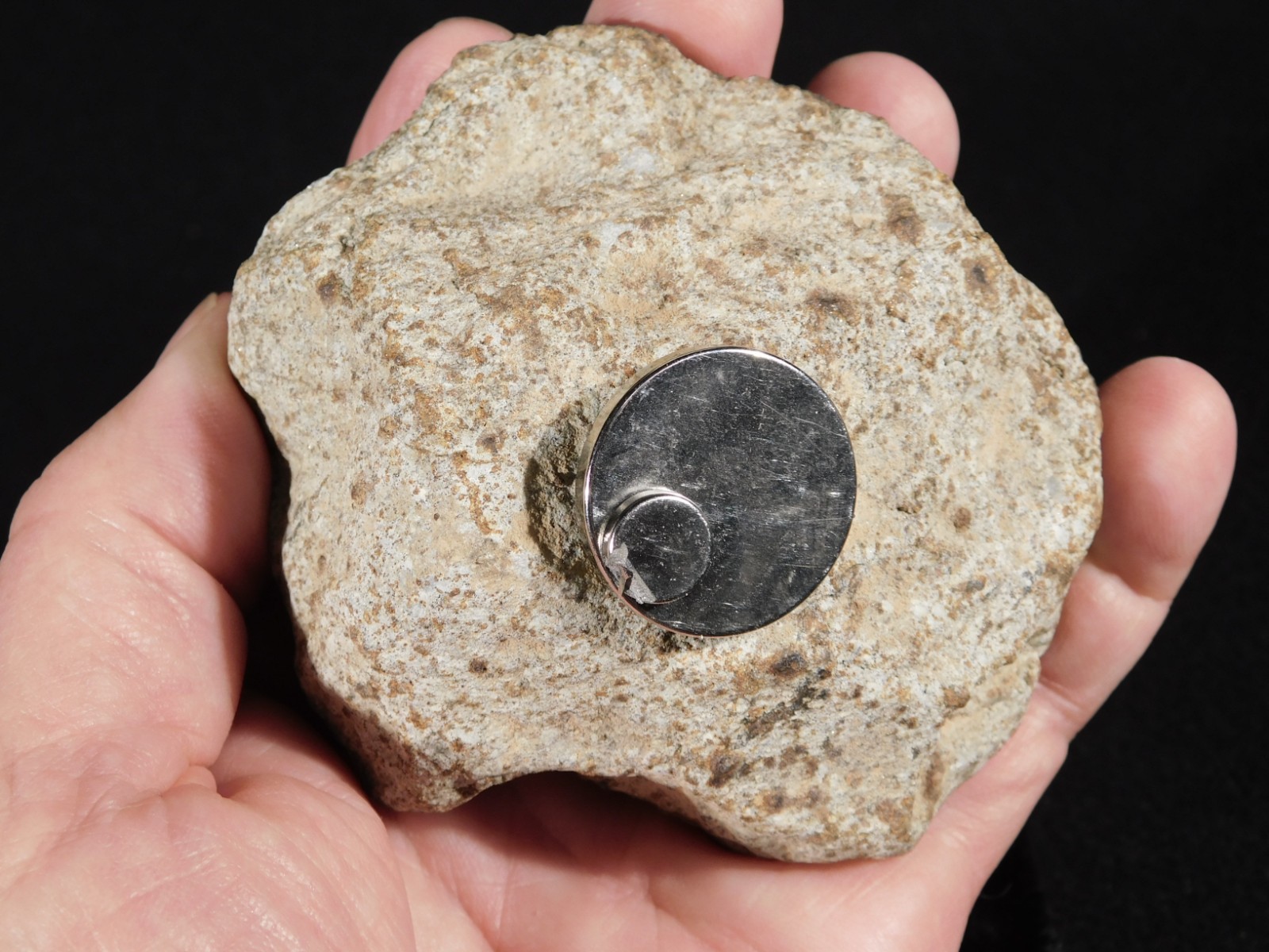 Larger! CLASSIFIED NWA 8245 METEORITE with Dark Fusion Crust Erfoud, Morocco 471