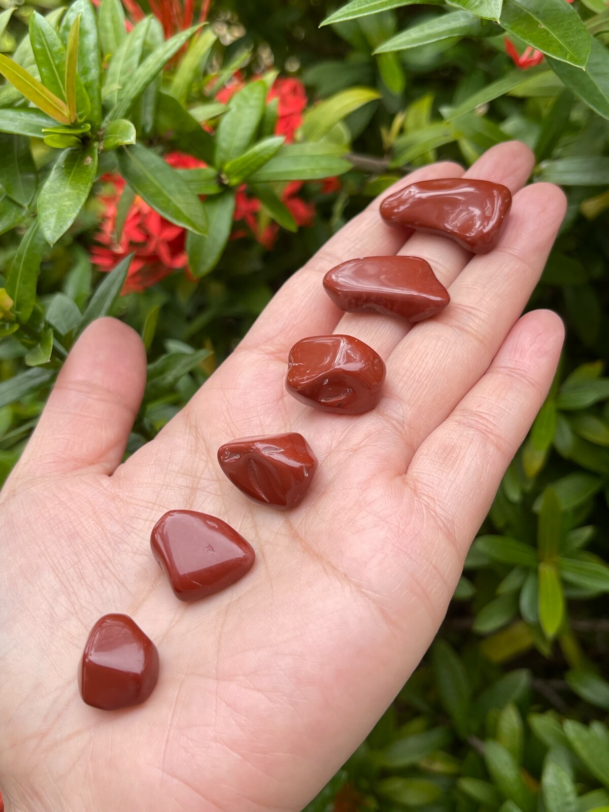 Red Jasper Tumbled Stones, 0.5″-1″ S to M Size Tumbled Red Jasper, Pick A Weight