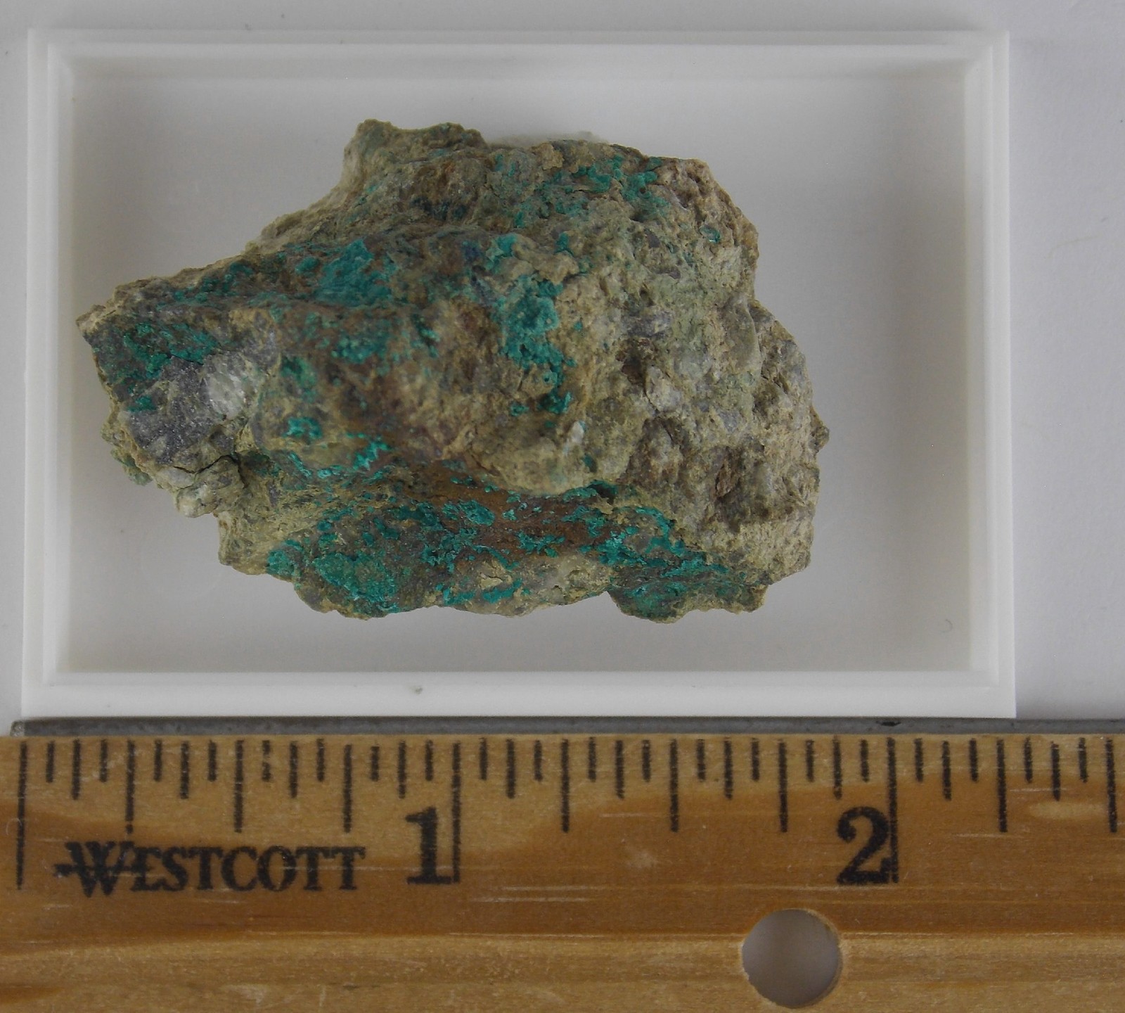 VERY RARE PARNAUITE CRYSTALS – 4.2 cm – LEOGANG, SALZBURG, AUSTRIA 30041