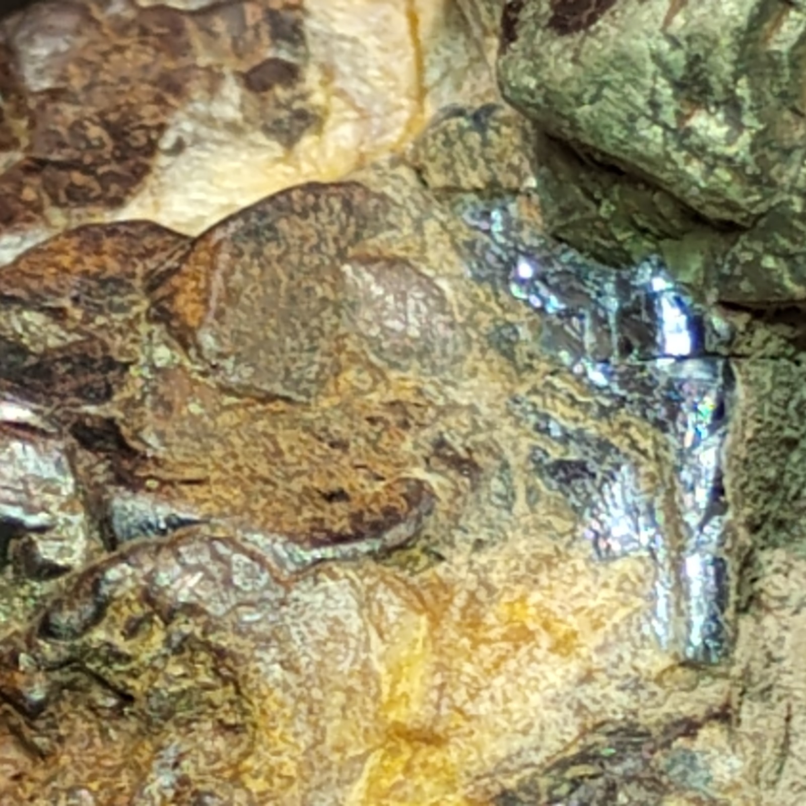 Iron Pyrite After Marcasite w/ Barite Galena Hematite Old Leadbelt of MO 297g