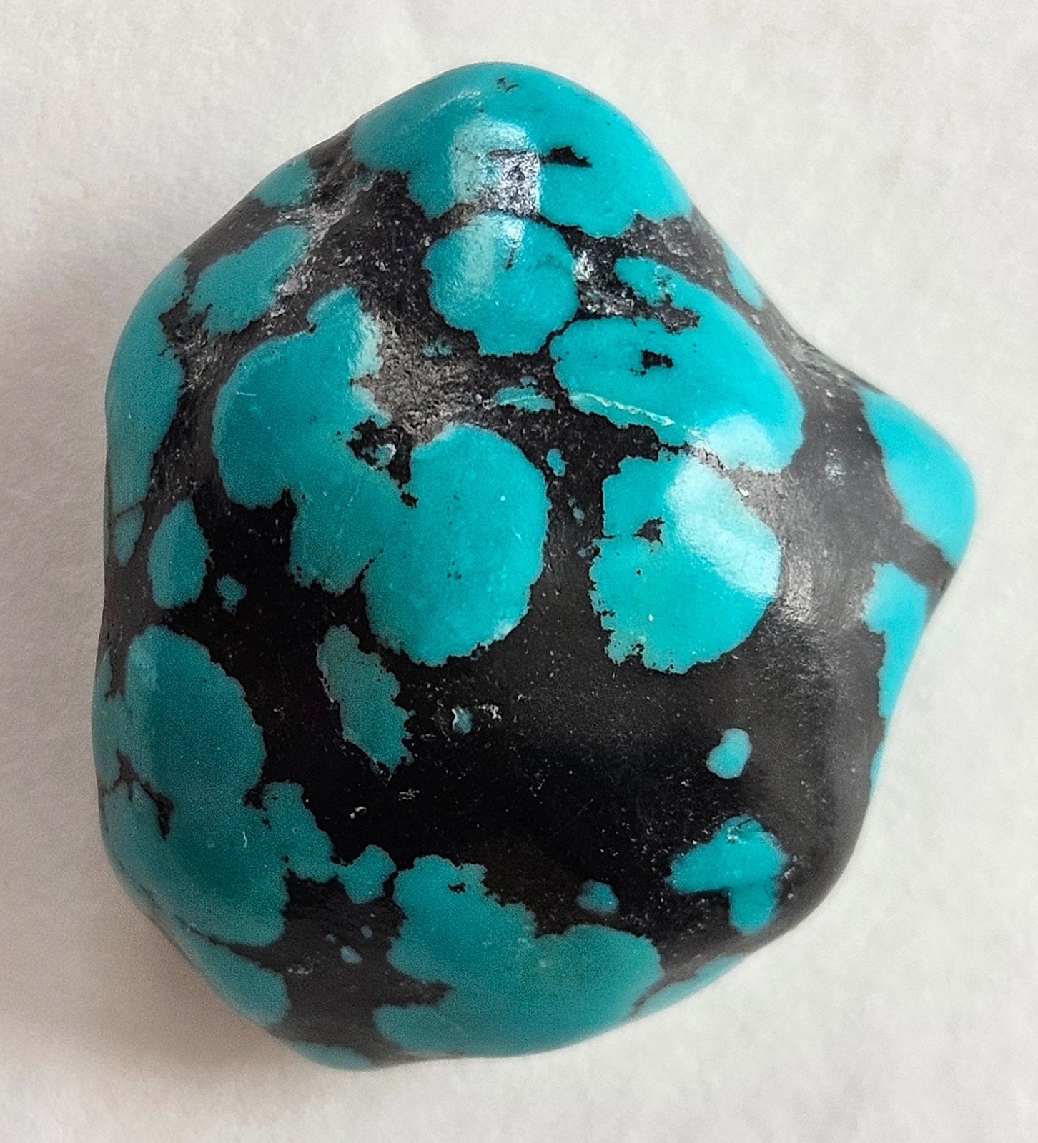 Beautiful Spider Web Turquoise
