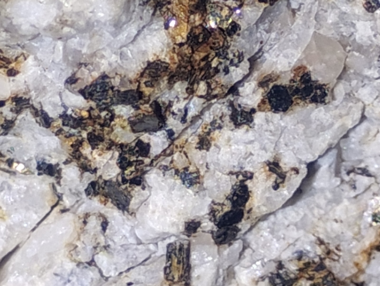 Polymetallic Ore Matrix Quartz, Pyrite & Silver/Black Sulfides – Blue Mountain?