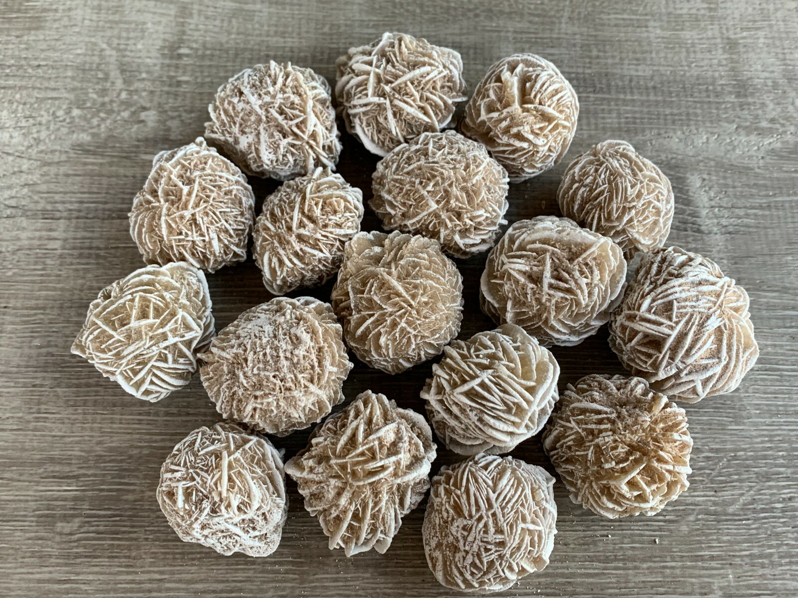 Desert Rose Selenite, 1.25-1.75 Inch Desert Gypsum Rose, Wholesale Bulk Lot