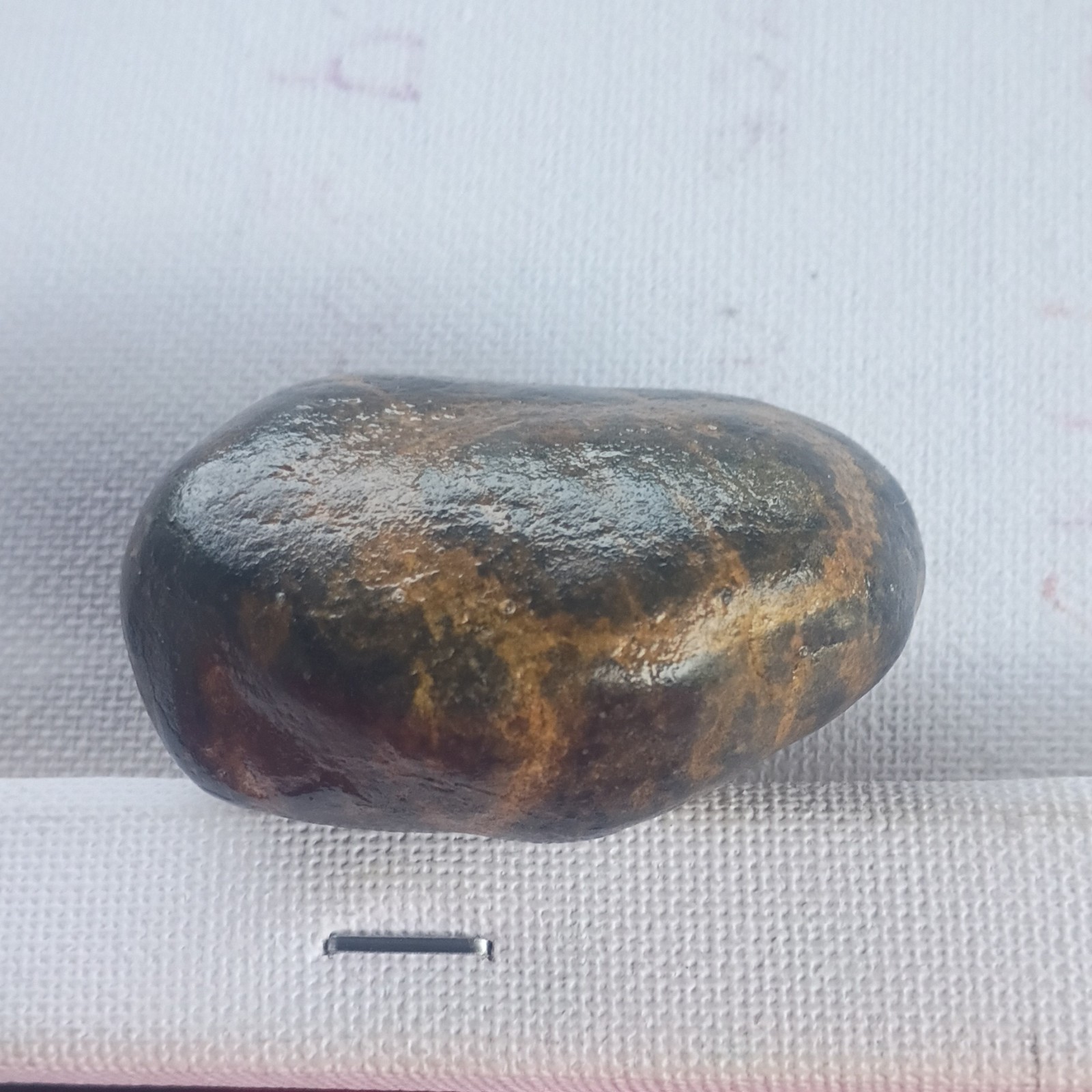 Polished Dark Brown Black Stone Mineral Specimen With Brown Veining Display