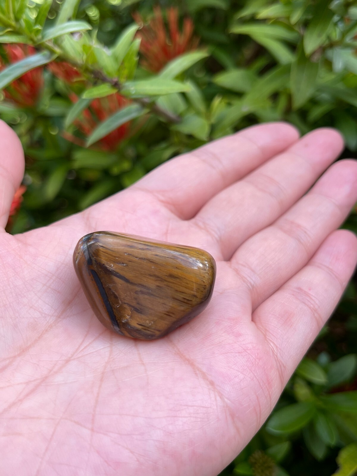 Grade A++ Gold Tiger Eye Tumbled Stones, 0.85″-1.5″ Tumbled Tiger Eye, Bulk Lot
