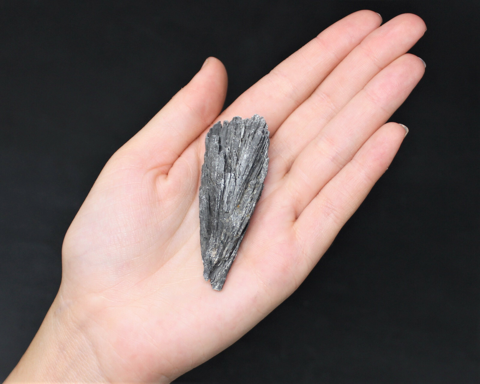 1/2 lb Black Kyanite Blades Fans: Premium Quality Wholesale Bulk Lot 8 oz