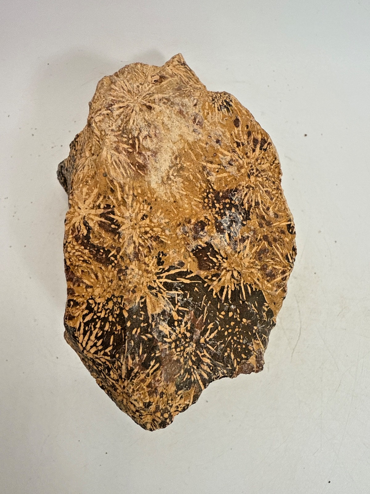Beautiful Spider Jasper Chrysanthemum Specimen 491 Grams