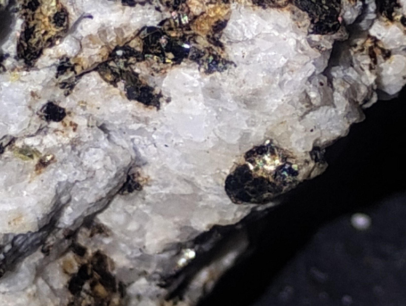 Polymetallic Ore Matrix Quartz, Pyrite & Silver/Black Sulfides – Blue Mountain?
