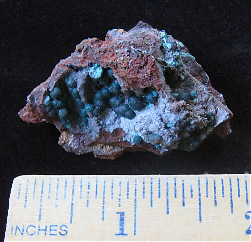 Rosasite Crystals- 1 3/4″ x 1 1/4″-Ojuela, Mapimi, Mexico