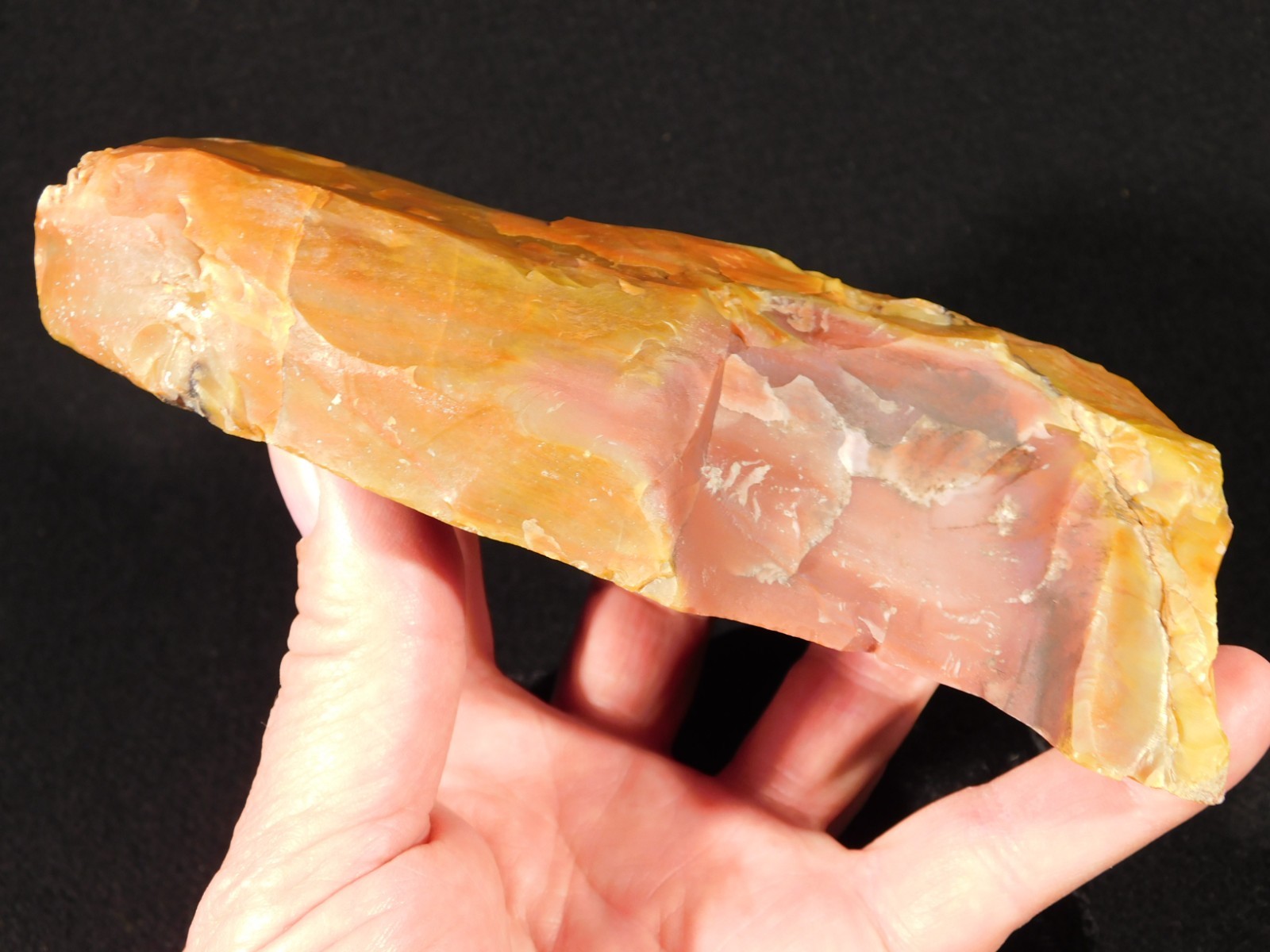 Larger 210 Million Year Old Polished Petrified RAINBOW WOOD Fossil Arizona 750gr