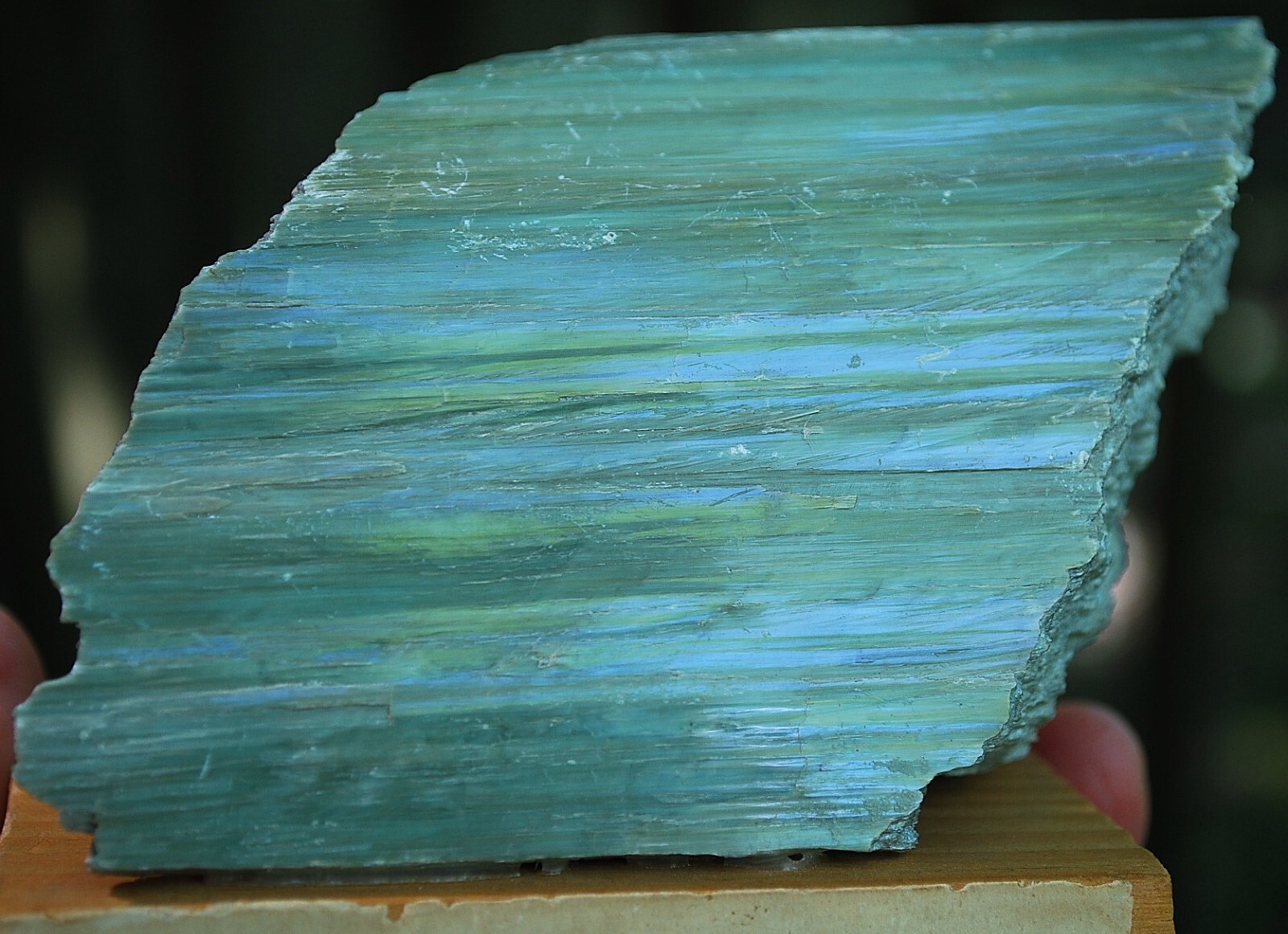 Natural GREEN SERPENTINE STONE Mineral MUSEUM NMBR SPECIMEN Quebec MOUNTED 4.25″