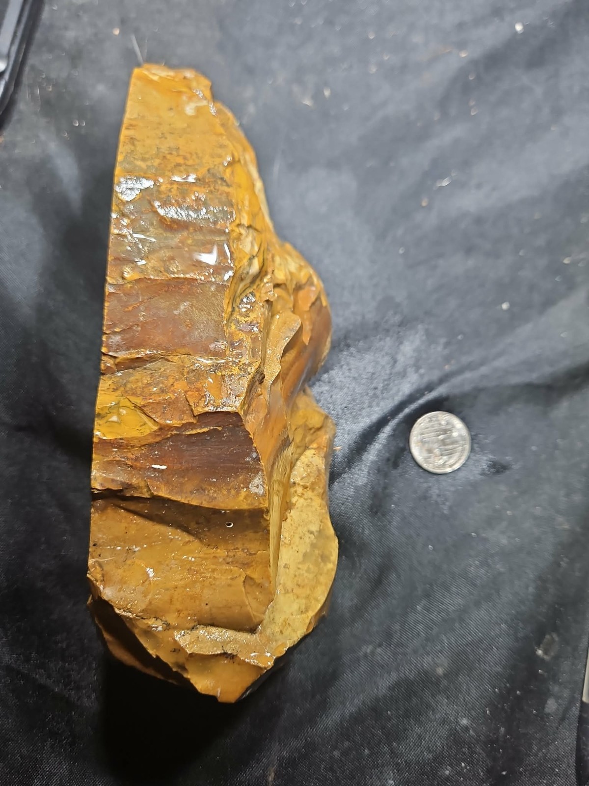 Oregon Picture Jasper Specimen (3lbs 4oz) Measures 8 in x 4 in x 3 in