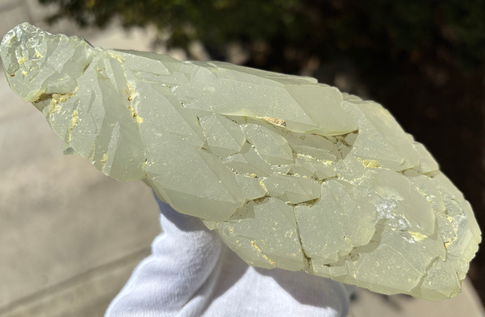 USA SALE SEE VIDEO 479g 1LB+ 6.1″ LARGE ELESTIAL EPIDOTE QUARTZ CRYSTAL SPECIMEN