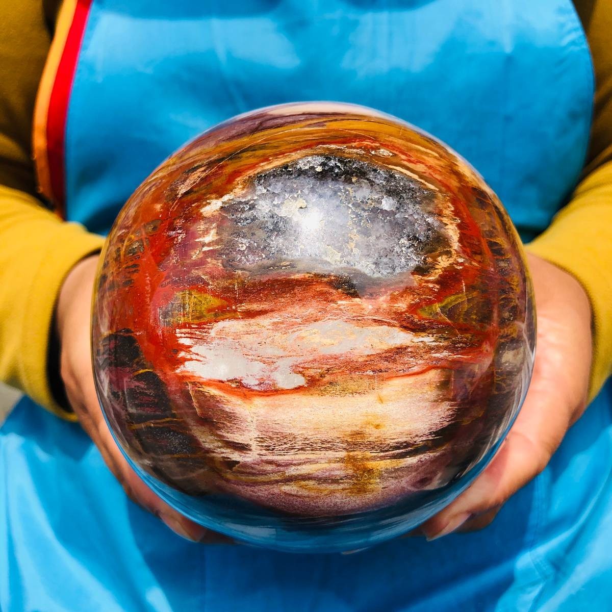 4.59LB Natural Petrified Wood Sphere Polished Crystal Ball reiki healing