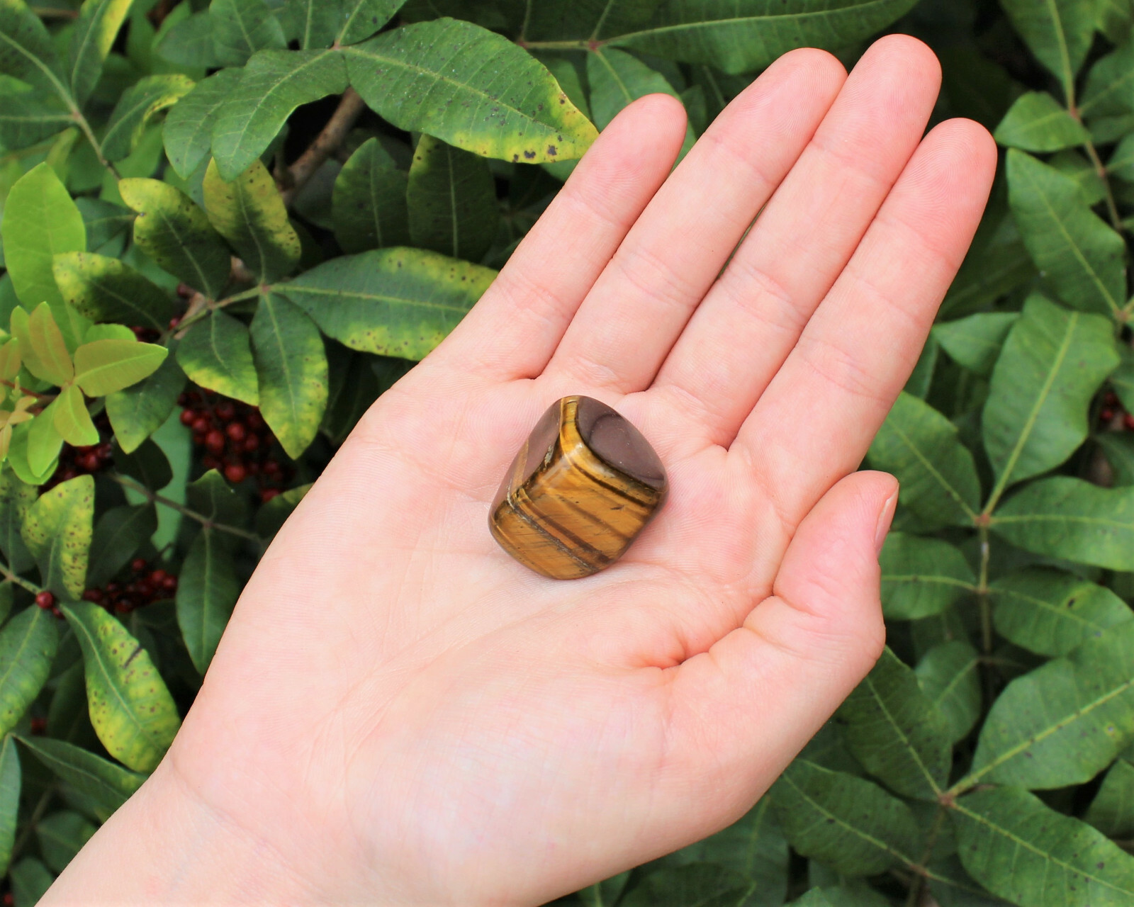 1/2 lb Bulk Lot Large Gold Tiger Eye Tumbled Stone Crystal Healing Reiki 8 oz
