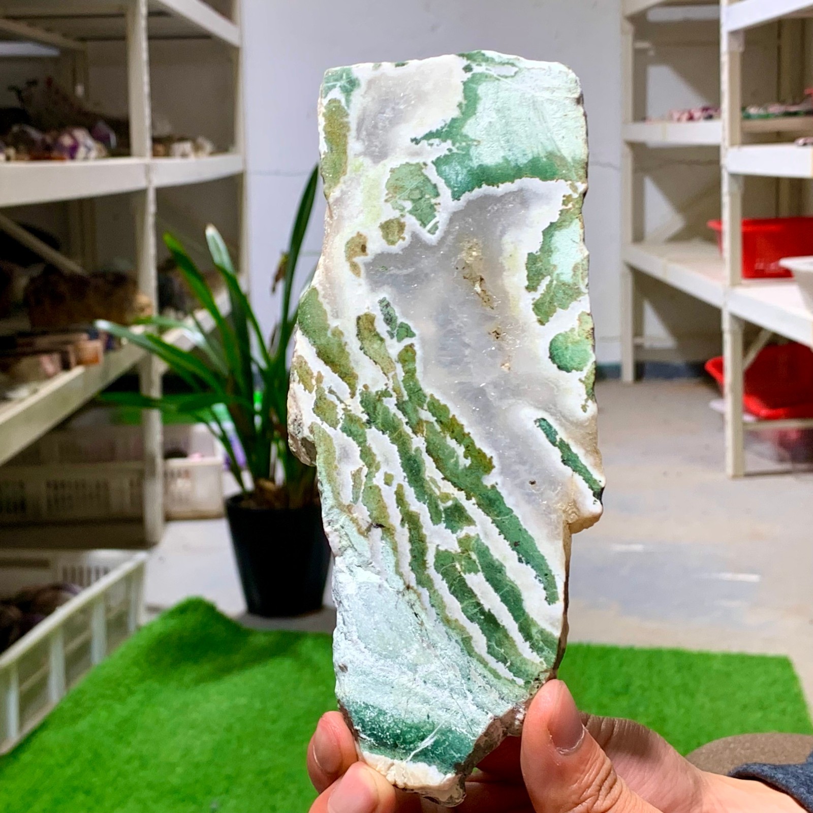 300G Natural green moss agate crystal raw stone flakes quart specimen