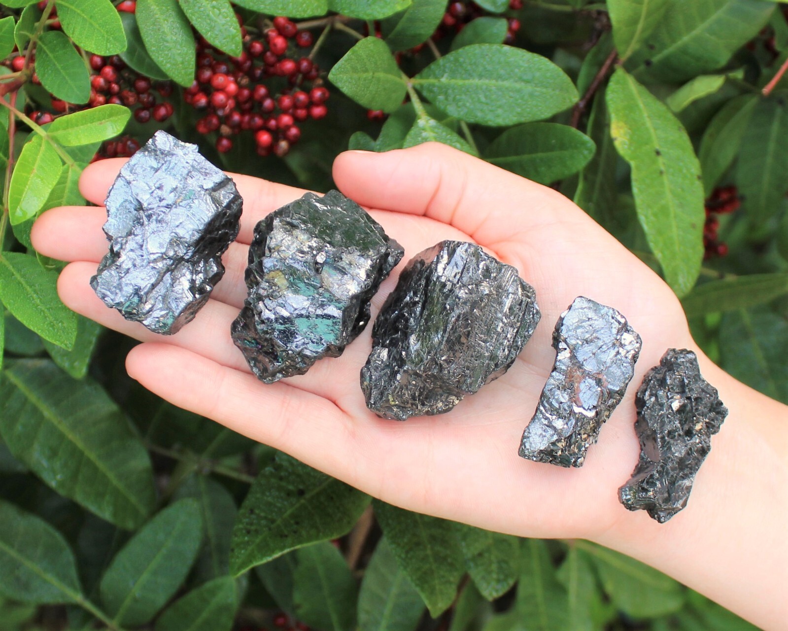 Elite Shungite Wholesale Lots – Natural Noble Shungite Crystals (EMF Protection)