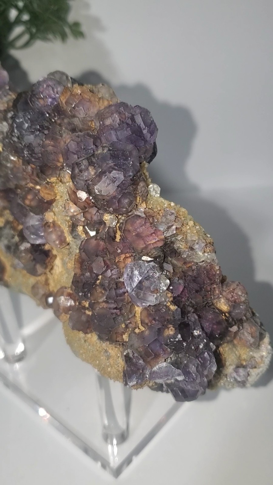 Tanzanite Fluorite On tan-colored quartz-rich matrix Statement PEACE 1KG 210G