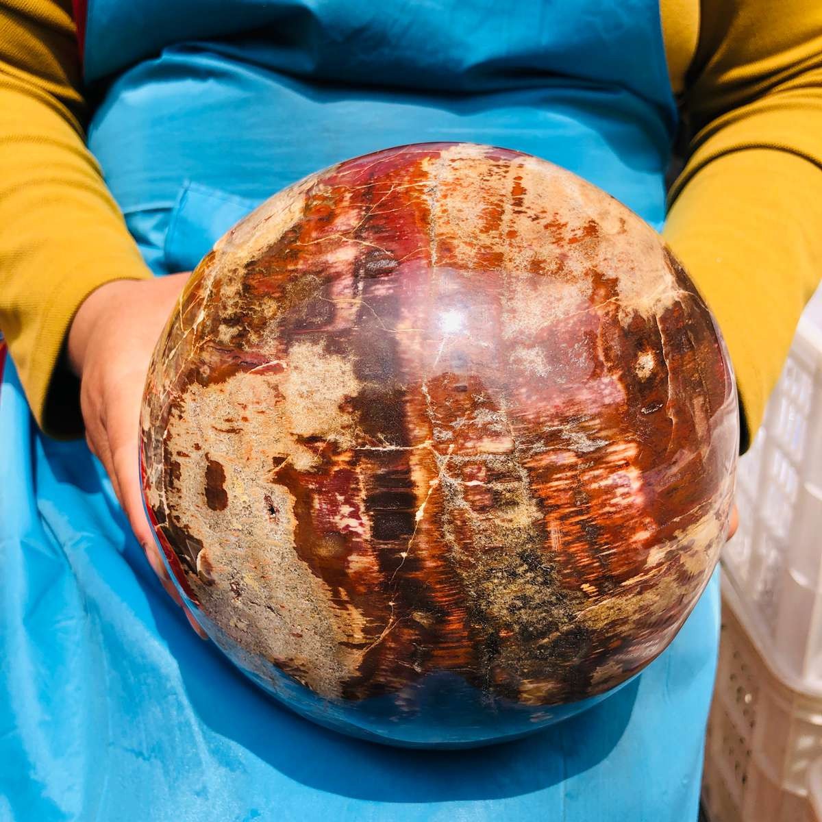 16.1LB Rare Natural Petrified Wood Ball Crystal Quartz Mineral Healing 4708