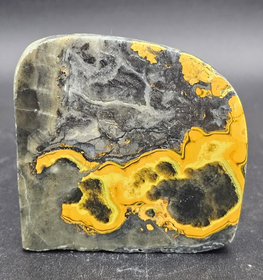 Bumblebee Jasper with Eyes Freeform Standup Display Piece Rare – US Seller R
