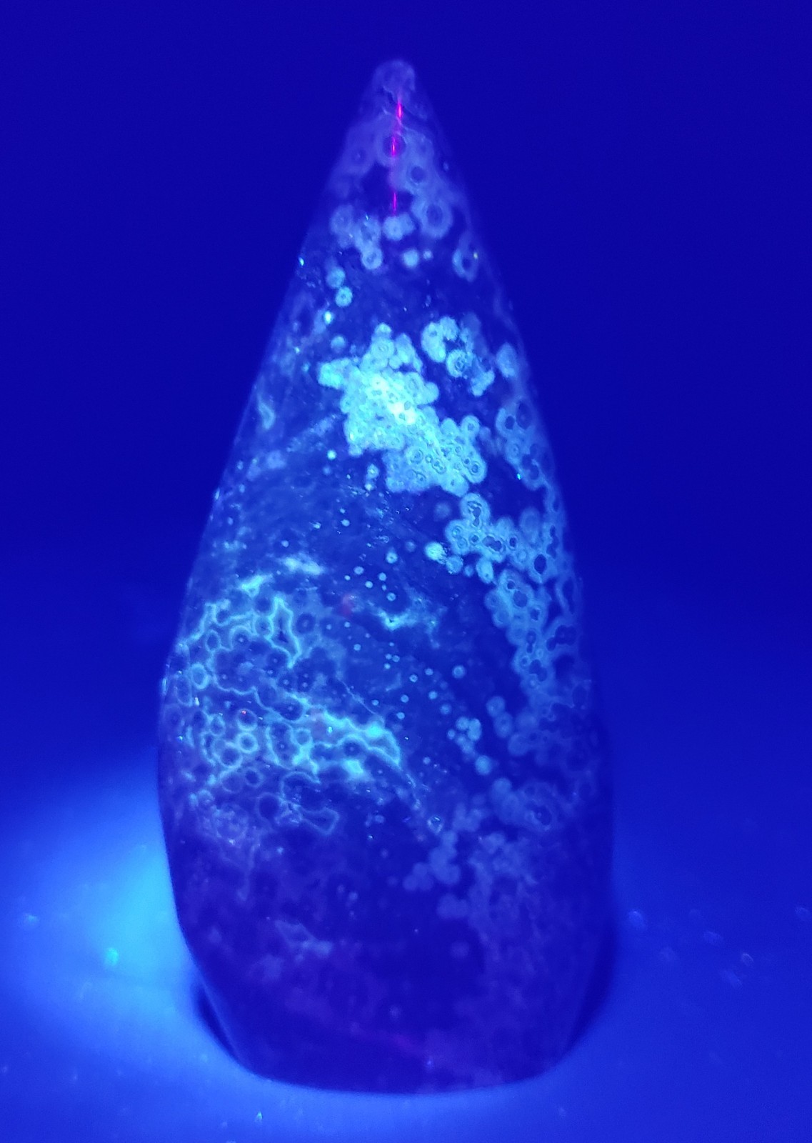 3.75″ Natural 8th Vein Orbicular Ocean Jasper Crystal Quartz UV Tear Free Form