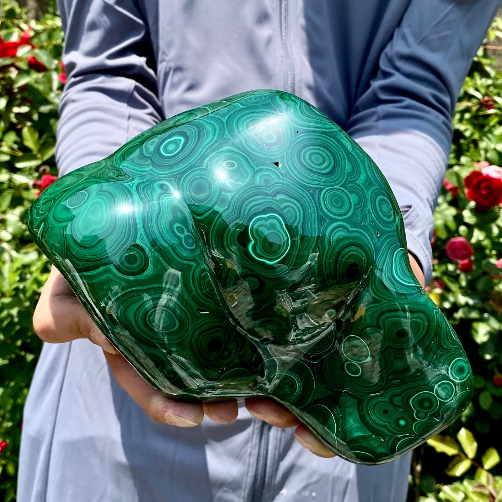 8.5LB Natural glossy Malachite egg transparent cluster rough mineral sample