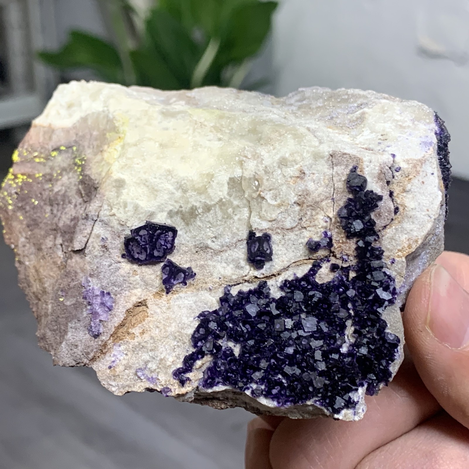 248G Rare transparent purple cubic fluorite mineral crystal sample/China