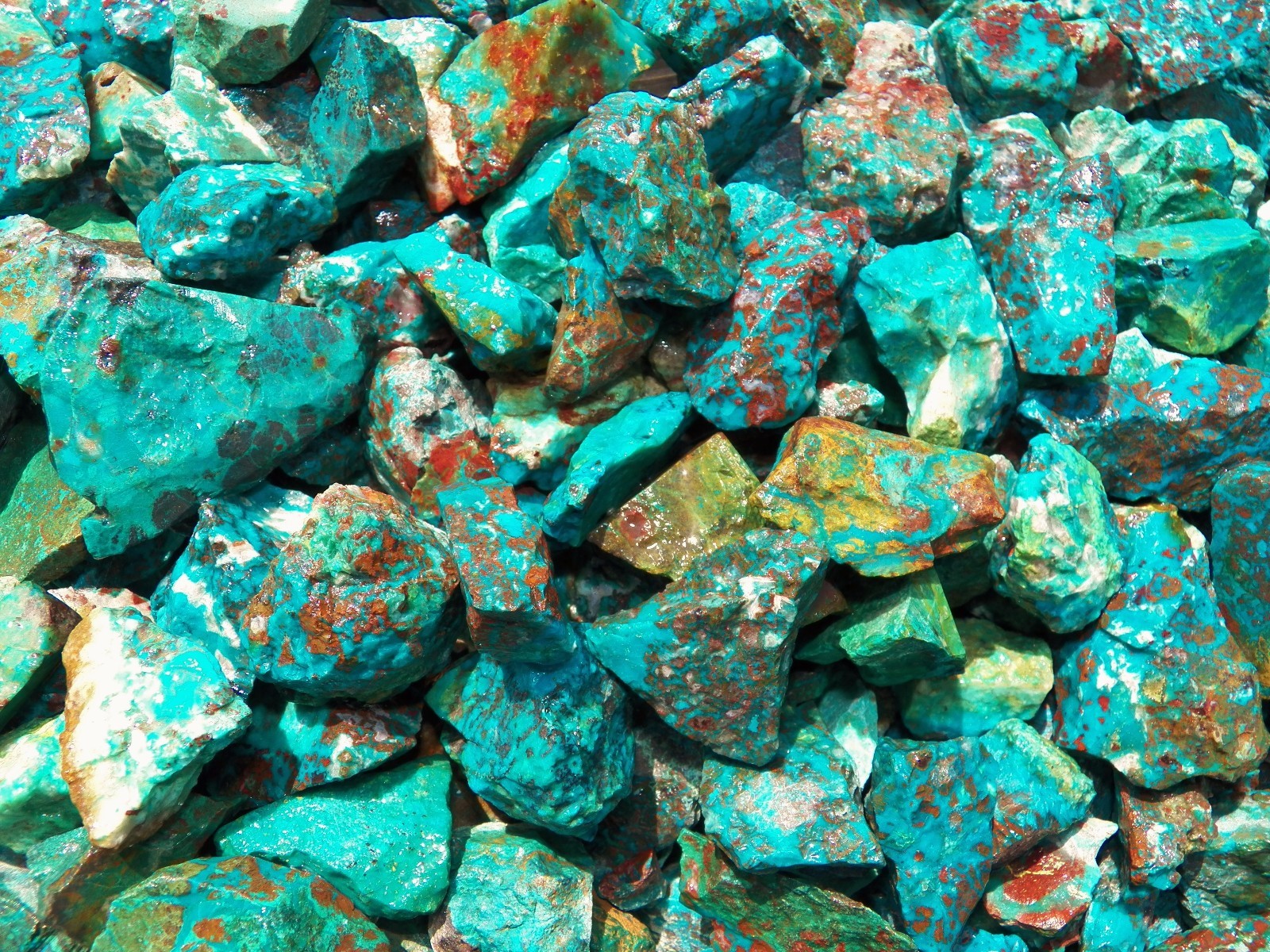 1000 Carat Lots of Chrysocolla & Turquoise Rough – Plus a FREE Faceted Gemstone
