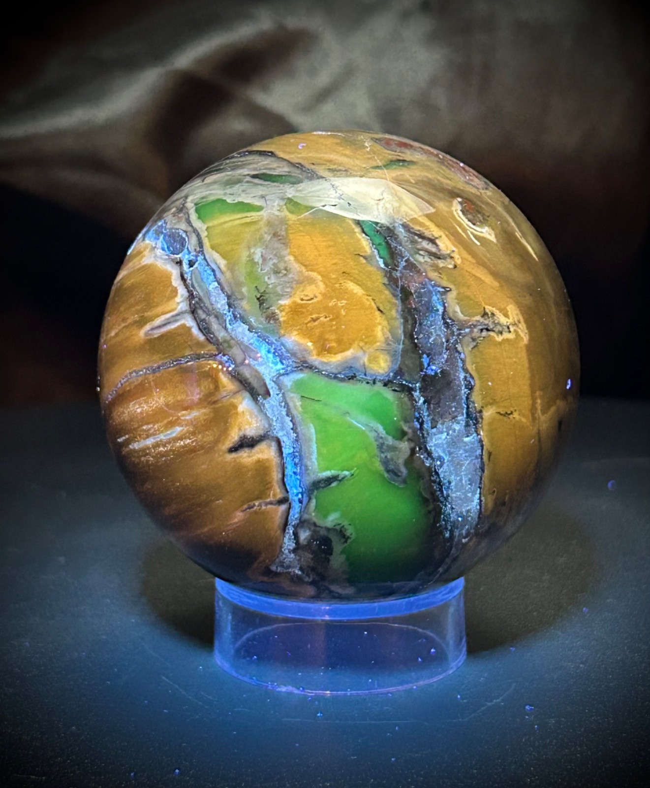 2.33″ Petrified Wood Sphere With Acrylic Stand UV REACTIVE 10.1oz