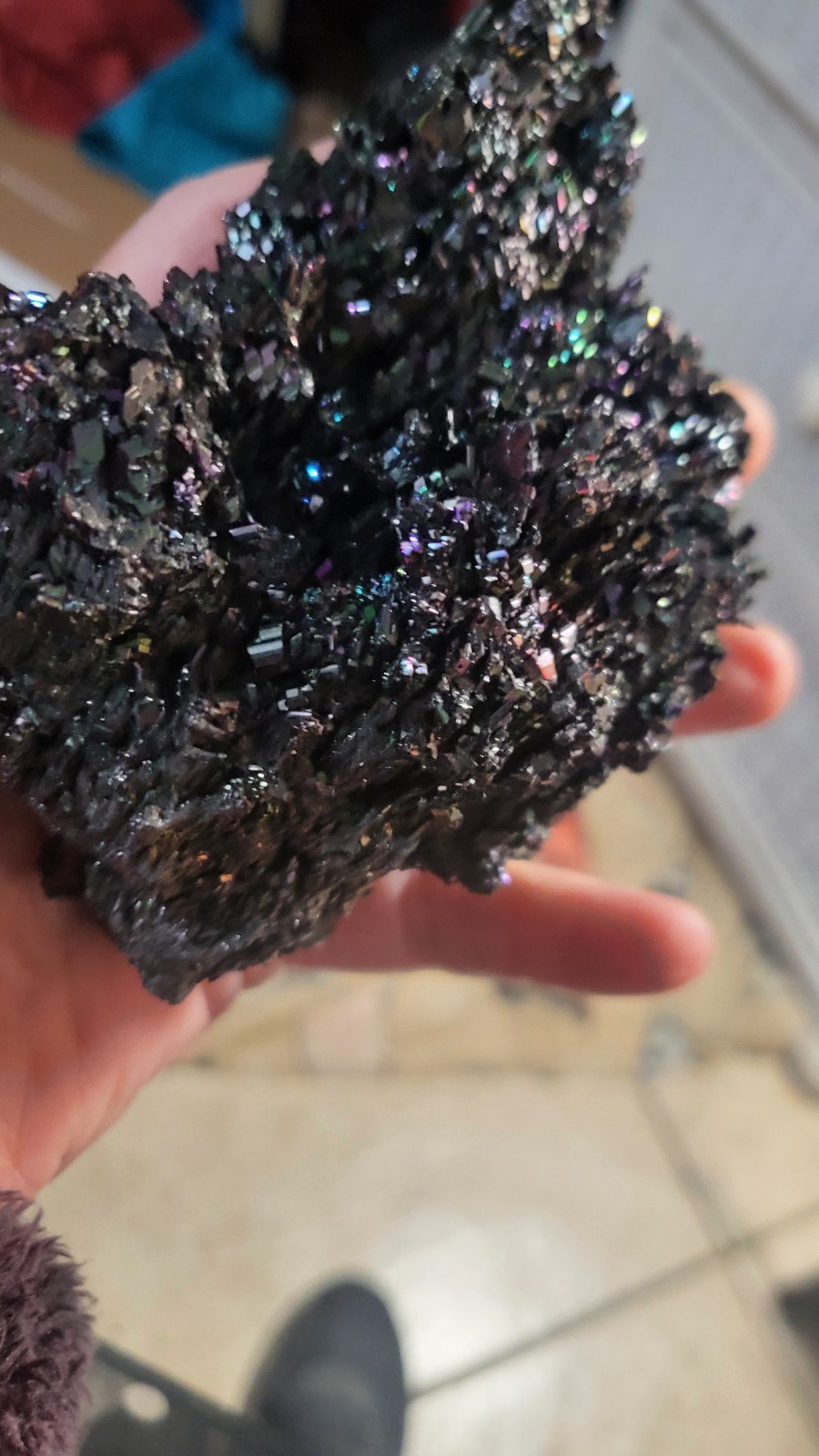 Highly Prized Rock and Mineral Collection