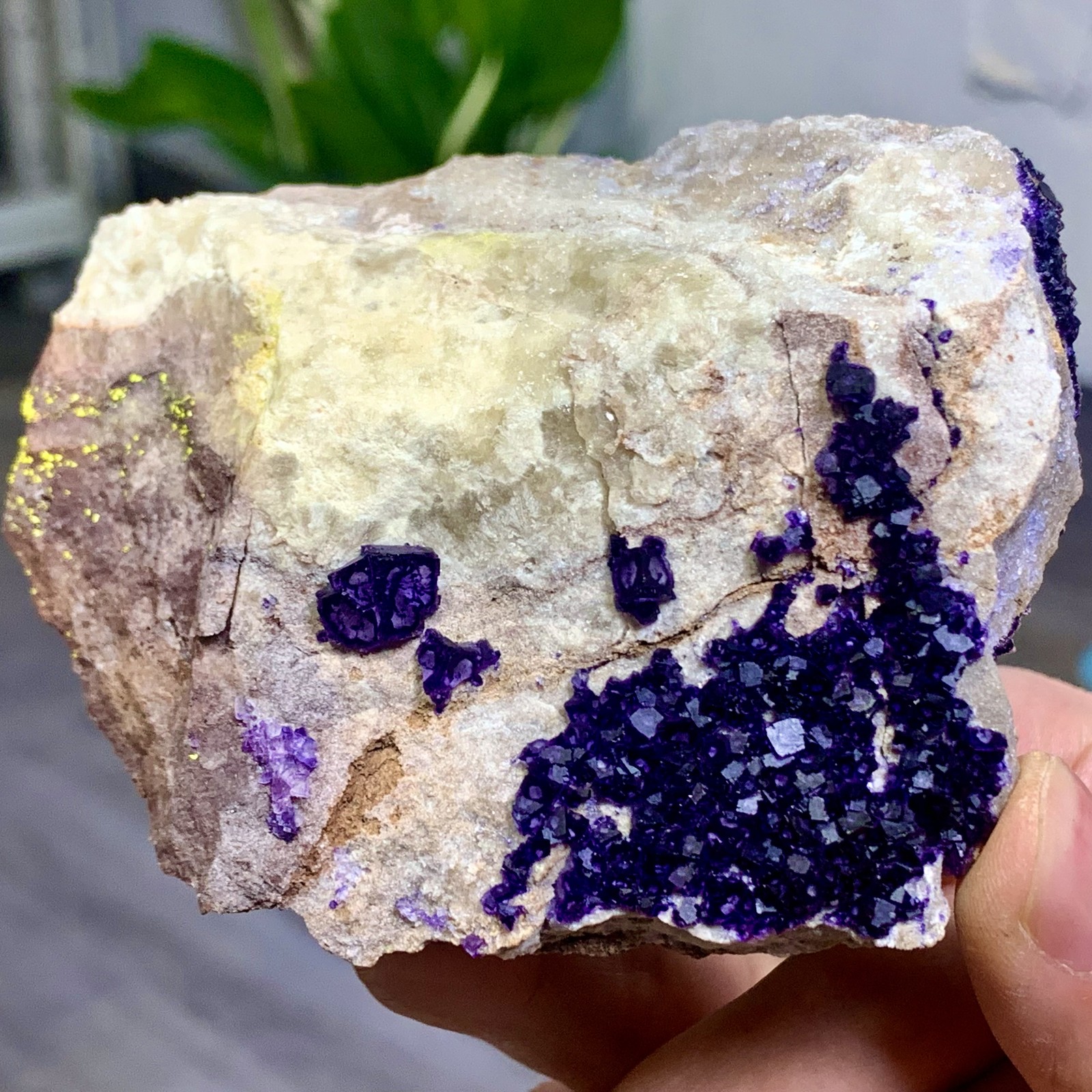 248G Rare transparent purple cubic fluorite mineral crystal sample/China