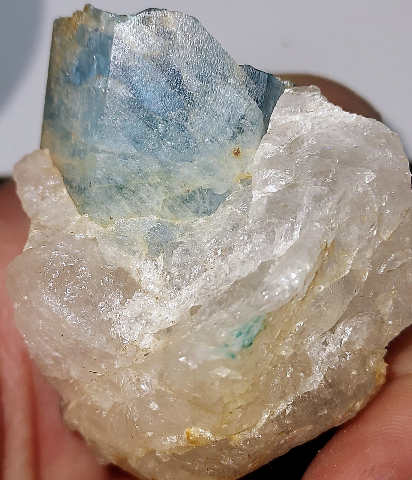 Aquamarine Beryl Crystal in Quartz Rare Minerals