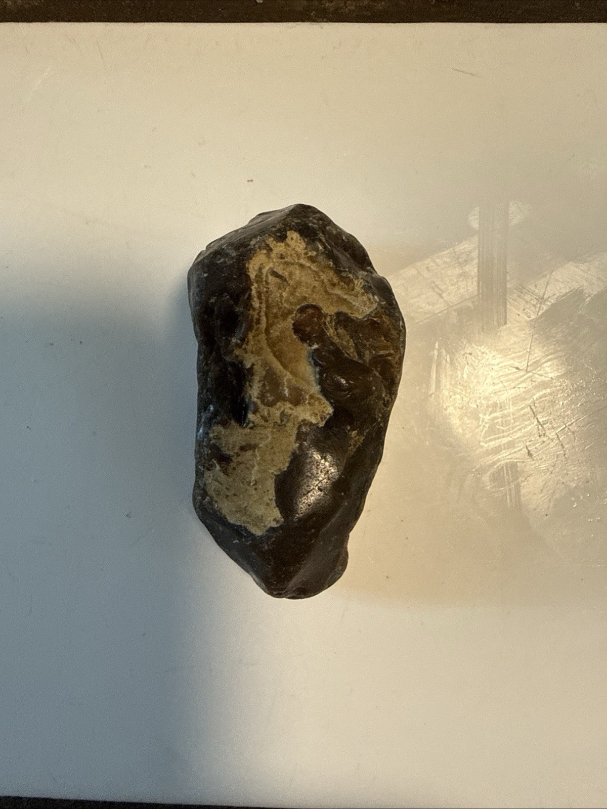 Natural Black & Tan Rock Mineral Specimen Display Piece, Dark Brown Rough Stone