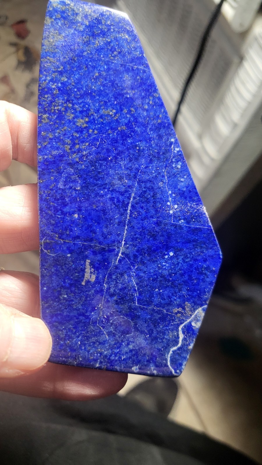 Highly Prized Rock and Mineral Collection