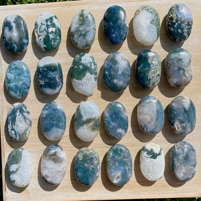 Wholesale Lot 1Lb Natural Moss Agate Palm Stone Quartz Crystal Healing Random