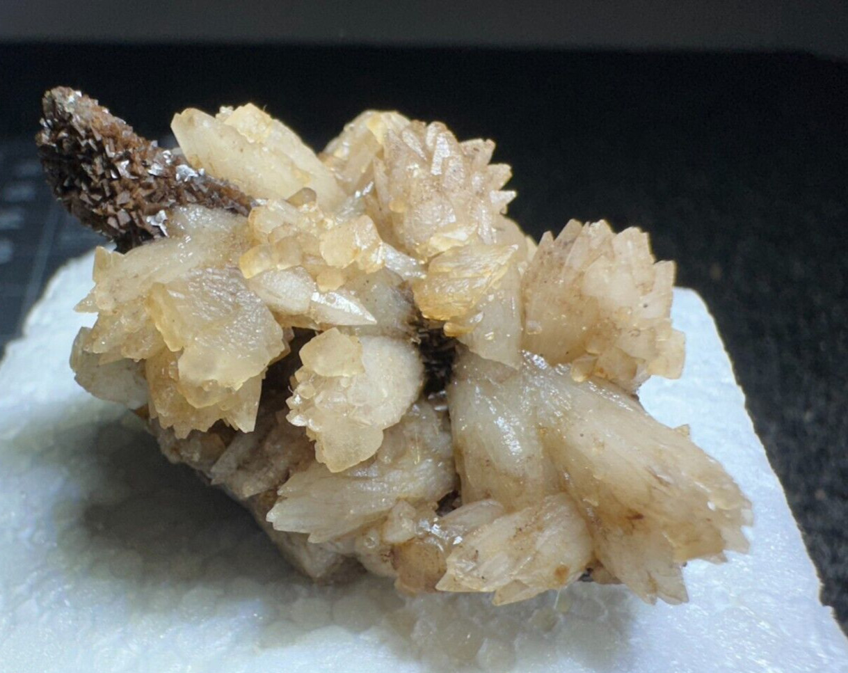 ➤ 1-7/8″ DOGTOOTH CALCITE CLUSTERS Pleasant Ridge Rensselaer Indiana VIDEO➤438