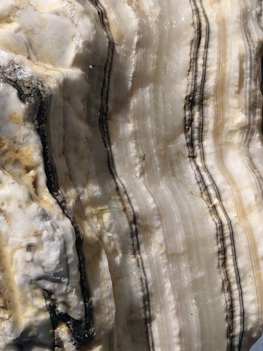 5 1/4Lb Zebra Calcite 9 1/2″×5″×2 1/2″ Display Translucent UV+ Bands A+ Slabber