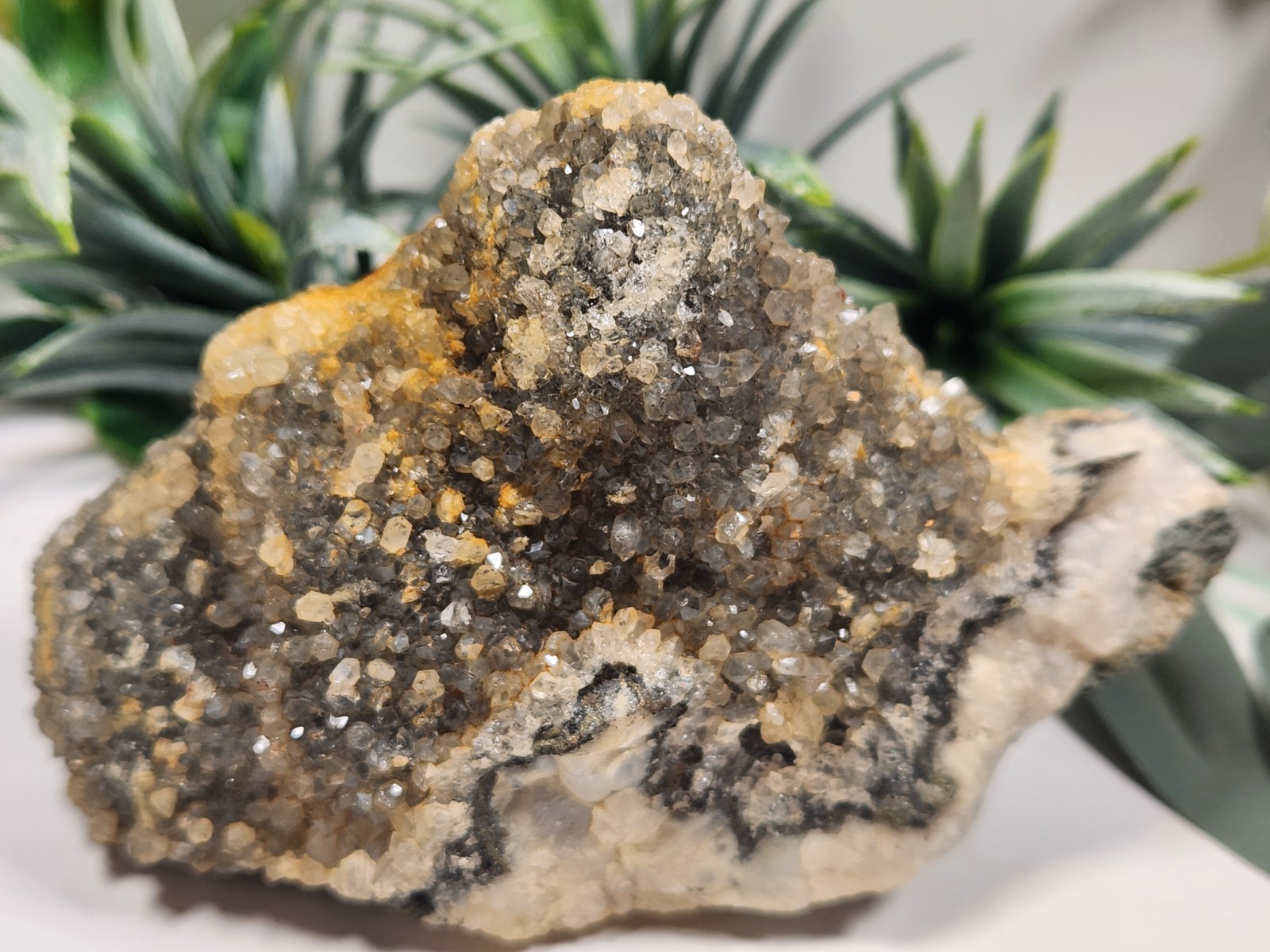 Druzy Quartz From Mexico Crystal Mineral Specimen 274g 3.75in Ep1