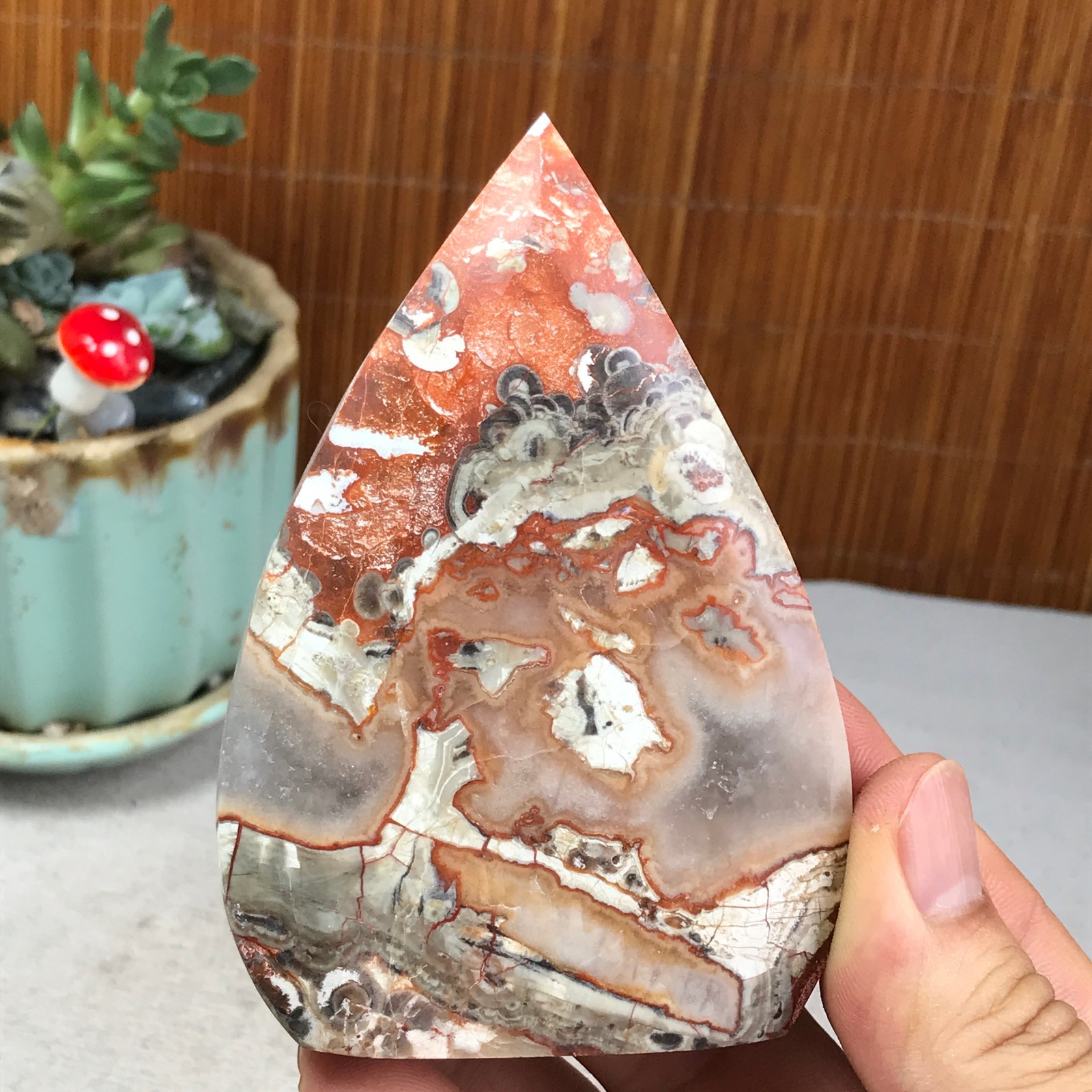 Natural money Mexico agate hand carve leaf Crystal Specimen free standing A6257
