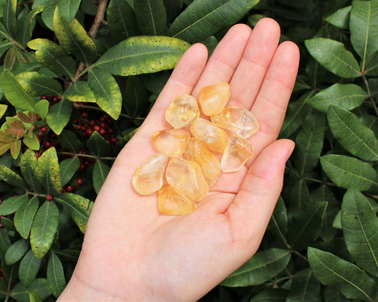 5 lb Bulk Citrine Tumbled Stones: A Grade (Crystal Healing, Chakra)
