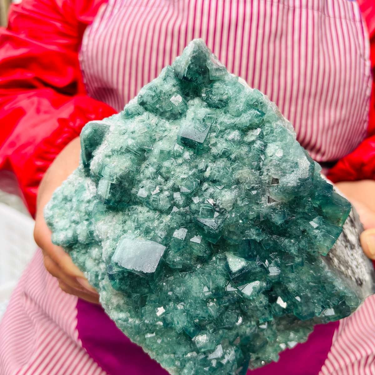 5.83LB Natural Green Fluorite Crystal Cluster Cubic Fluorite Specimen healing