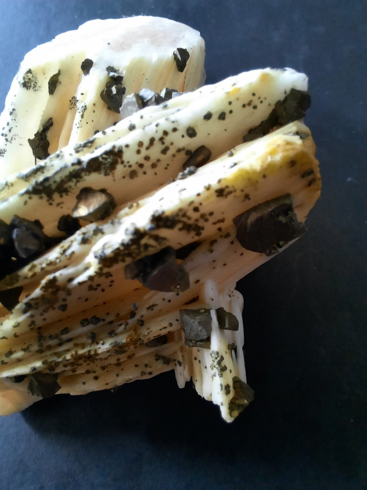 Pyrite Crystals on Barite, Morocco 2 1/2 x 1 5/8th x 1 inch